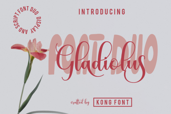 Gladiolus: Injecting Modern Playfulness into Your Creative Projects